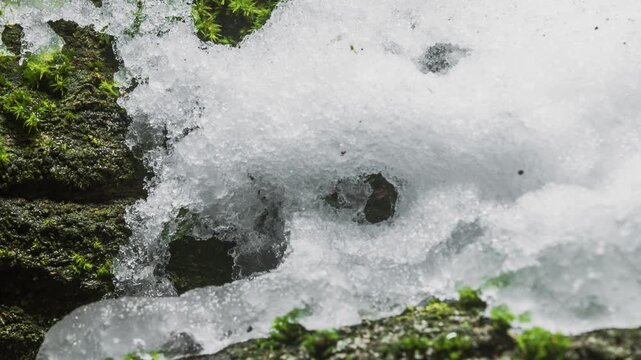 Close-up of melting snow on moss-covered tree trunk in forest, macro timelapse nature renewal, climate change from winter to spring thaw, seasonal transition, green moss and ice melting in woodland