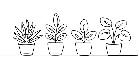 A minimalist line drawing of four potted plants on a shelf against a white background