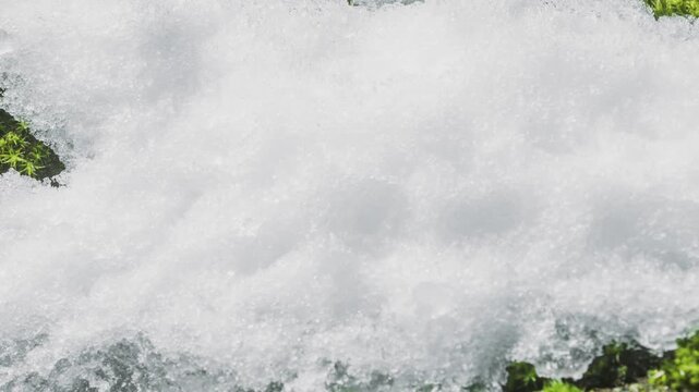 Close-up of melting snow on moss-covered tree trunk in forest, macro timelapse nature renewal, climate change from winter to spring thaw, seasonal transition, green moss and ice melting in woodland