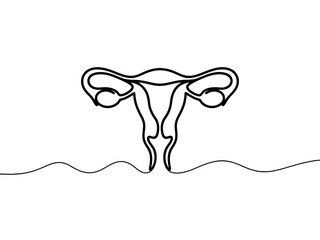A simple line drawing of a female reproductive system on a white background