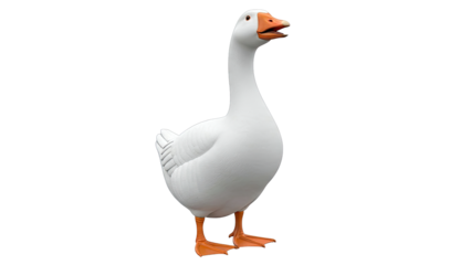 White Goose with Orange Beak and Feet