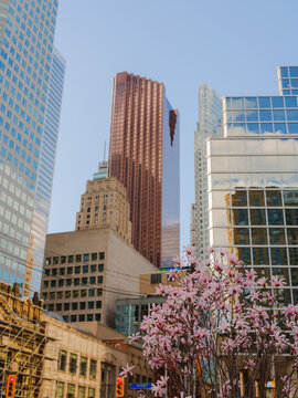 Toronto cityscape on sunny day, Canada 
