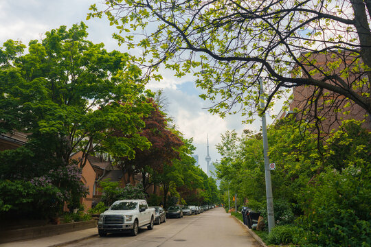 Green cozy street in Toronto with CN Tower on the background 