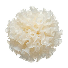 Dried white fungus snow fungus