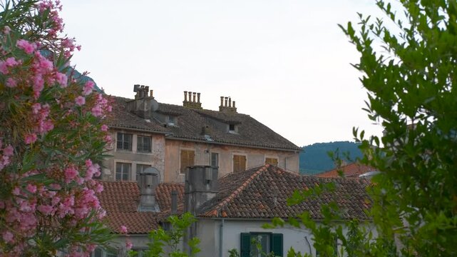 Old european town houses with pink oleander flowers. Picturesque view of old european town architecture with terracotta tile roofs and chimneys, seen through blooming pink oleander flowers