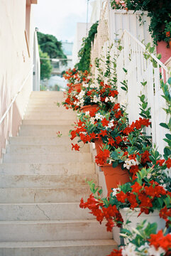 Decorative staircase