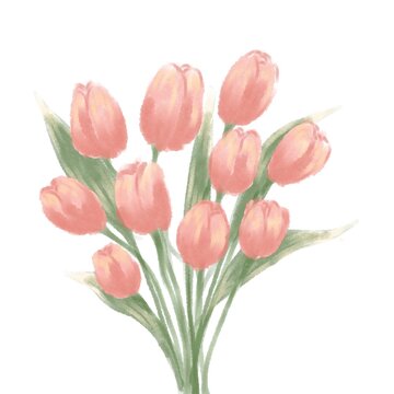 bouquet of tulips