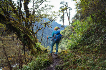 Obraz premium Young female with backpack and poles trekking walking Mera Peak climbing route through jungle rain forest in Makalu Barun National Park, Nepal. Active people and Himalayas tourism concept image.