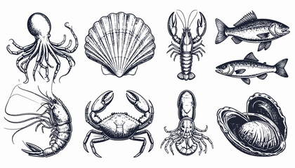 Hand Drawn Seafood Set: Lobster, Crab, Fish, Octopus, Shells