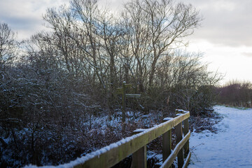 A wintery walk at Hauxley Northumberland January 2026