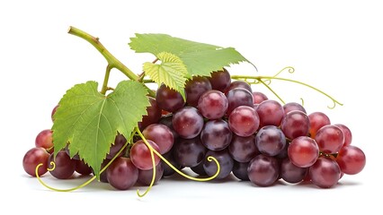 Fresh Red Grapes Cluster with Leaves