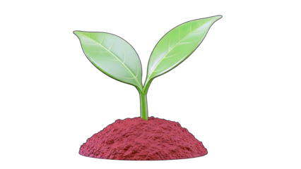 Sprout emerging from soil