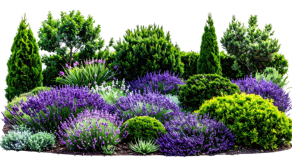 A vibrant, colorful garden arrangement with various flowering plants and evergreen shrubs
