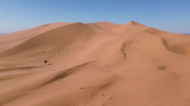 Sahara Desert Sand Dunes Erg Chebbi Merzouga Morocco Africa Camels Animal Caravan Vast Arid Landscape Nature Running Trail Endurance Sports Warm Outdoor Activities Adventure Travel Scenic Wilderness