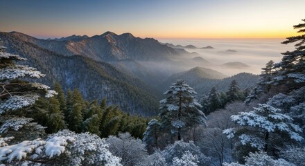 Winter mountain vista. Snowy peaks and valleys bathed in a golden sunrise