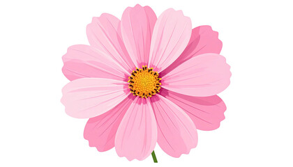 A vibrant, detailed illustration of a single, bright pink cosmos flower with a yellow center