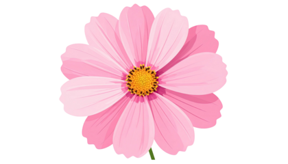 A vibrant, detailed illustration of a single, bright pink cosmos flower with a yellow center