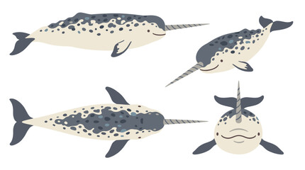 Narwhal Set Vector Illustration