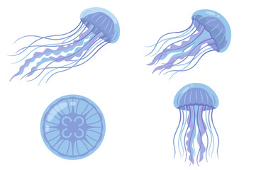 Jellyfish Collection Vector Art
