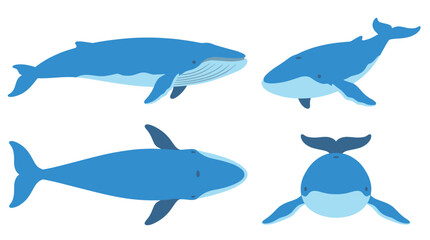 Blue Whale Collection Vector Illustration