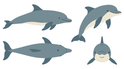 Dolphin Collection Vector Set