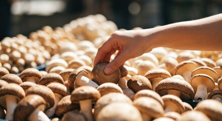 A hand reaches to select a brown mushroom from a tray of fresh, assorted fungi