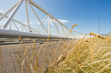 Exploring Modern Architecture Against a Tranquil Natural Backdrop