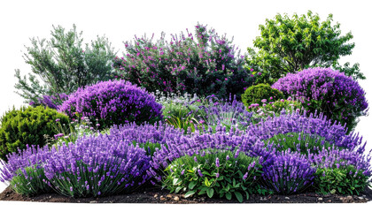 A vibrant garden bed overflowing with various shades of purple, green, and silver foliage