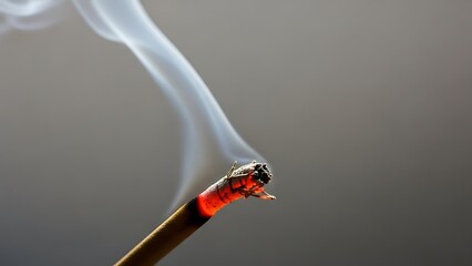 Isolated macro of a red ladybug on a green leaf next to a metal smoking tool with black smoke on white