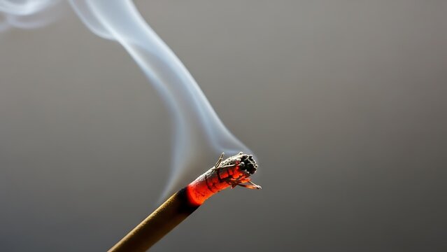 Isolated macro of a red ladybug on a green leaf next to a metal smoking tool with black smoke on white - Powered by Adobe