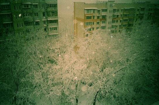 View From The Window Of A High-rise building During The Winter Snowfal