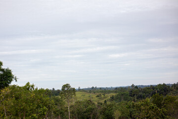 Obraz premium Green hills and forest landscape under cloudy sky