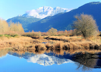 Golden Ears Mountain Range reflected in a calm pond