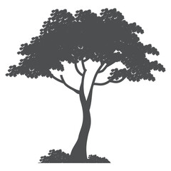 Fototapeta premium tree silhouette. flat style tree illustration. cartoon tree. forest nature theme 