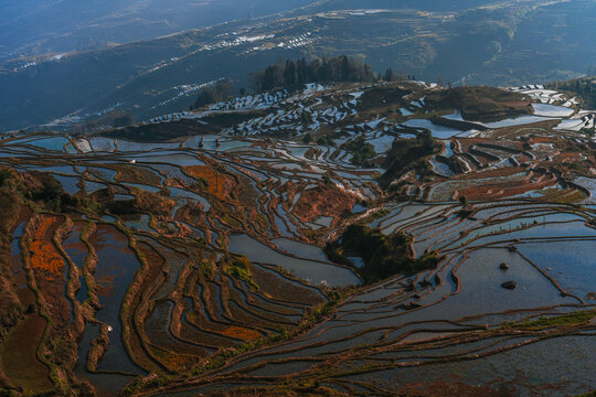 Scenic view of rice terraces reflecting sky in Yunnan, China 