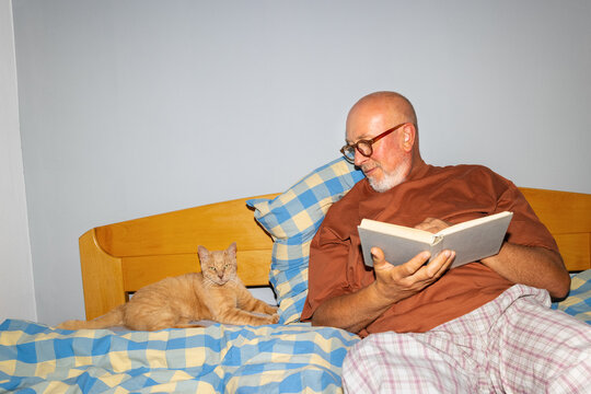 Reading companion