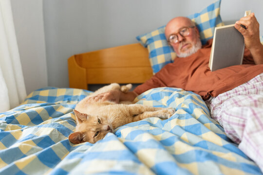 Lazy morning