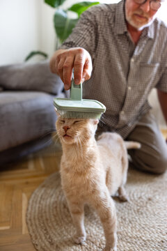 Grooming cat