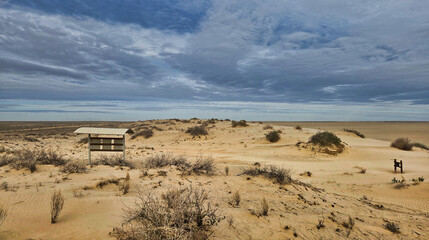 Desert dunes under dramatic sky with sparse bush and sign on the Road to Lake Eyre