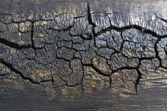 Yakisugi wood texture with deep cracks and charred surface showing unique natural patterns and rich dark tones perfect for backgrounds or design inspiration