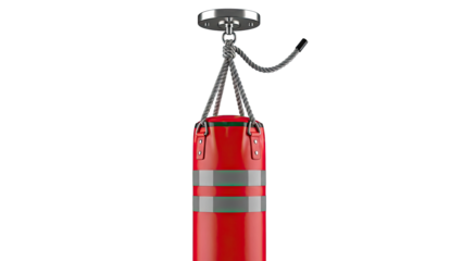 Red Punching Bag Suspended from Ceiling Mount