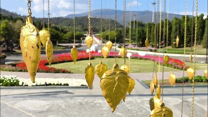 Gloden Bodhi leaves in Royal park Rajapruek, Chiangmai Thailand.