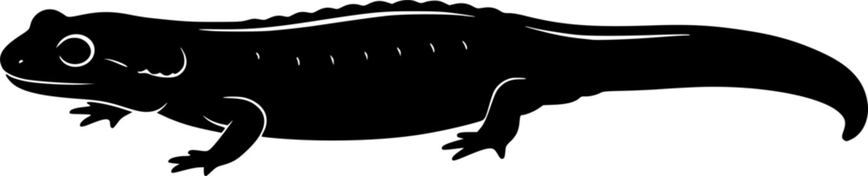 salamander line art silhouette vector illustration
