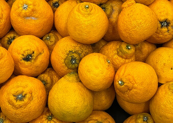 Fresh organic dekopons mandarin oranges