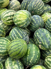 Pile of big green watermelons