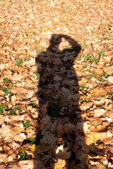 The shadow of a human being in the form of a forest spirit on the day of ghosts