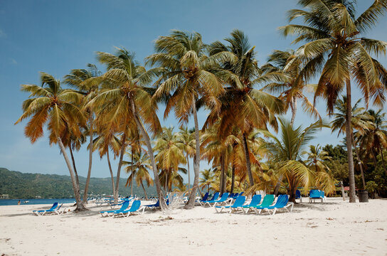 Relaxing Beach Scene With Palm Trees and Lounge Chairs on a Sunny Day