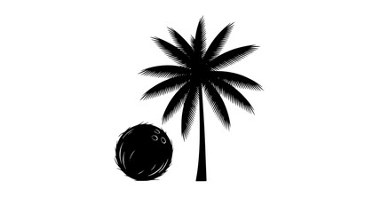 tropical coconut, palm tree silhouette
