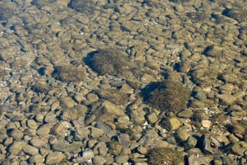 View of the water through the clear transparent water of the lake