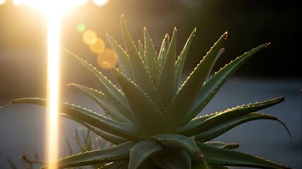 White background, blank canvas, empty space, minimal, clean, copy space, studio, simple, texture, design